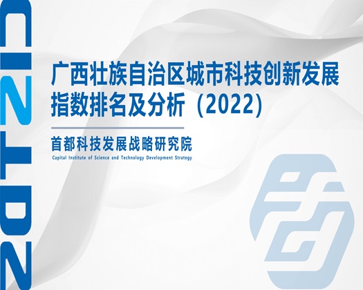 美女被操免费的网站【成果发布】广西壮族自治区城市科技创新发展指数排名及分析（2022）